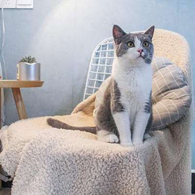 Soft Plush Throw OEM Waterproof Pet Blankets